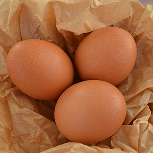 Яйцо отборное