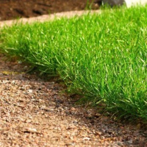 Смесь газонная «Универсальный газон»