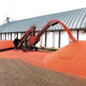 Доработка семян