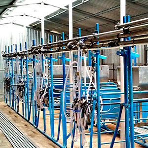 Обслуживание оборудования животноводческих ферм