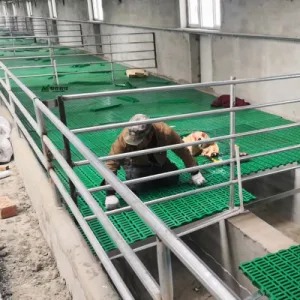 Ремонт оборудования животноводческих ферм