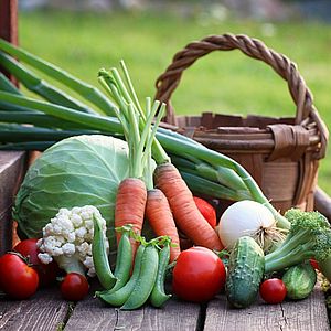 Выращивание овощей