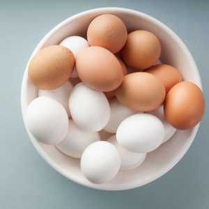 Производство яиц куриных