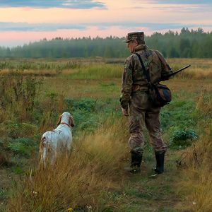 Охотничьи услуги в Беларуси