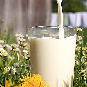 Производство и реализация молока