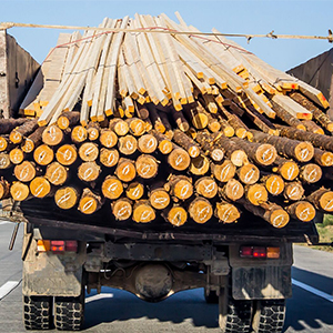 Экспорт деревянных заготовок