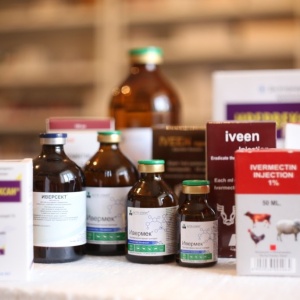 Препараты для сельскохозяйственных животных