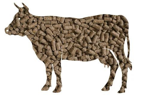 Комбикорм для КРС