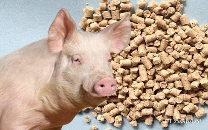 Комбикорм для свиней