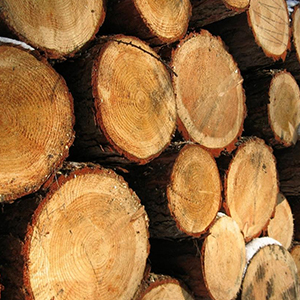 Деловая древесина в заготовленном виде