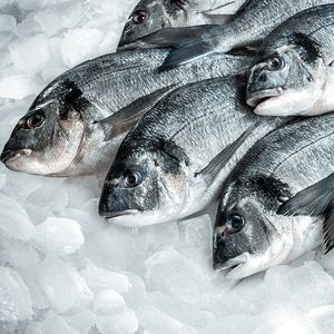 Продажа товарной рыбы