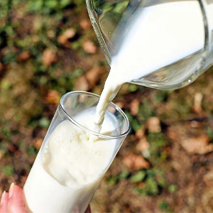 Молоко от производителя