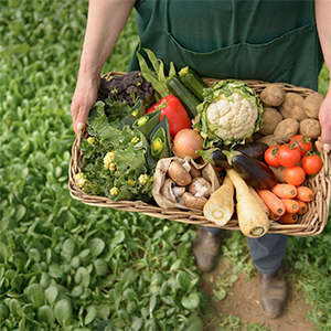 Сельскохозяйственная продукция