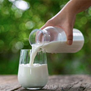 Экспорт молока и молочной продукции