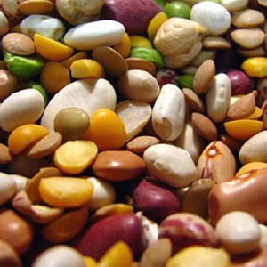 Зерно-бобовые культуры