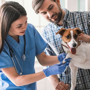 Ветеринарная консультация