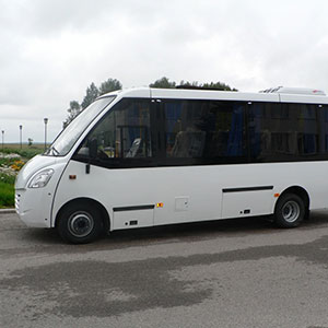 Автобус Неман 420224-15