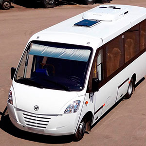 Автобус Неман 420224-11 Турист