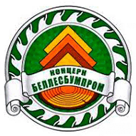 Белорусский производственно-торговый концерн лесной, деревообрабатывающей и целлюлозно-бумажной промышленности (концерн Беллесбумпром)