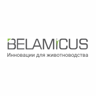 Беламикус ООО