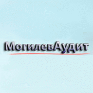 Фирма Могилеваудит ООО