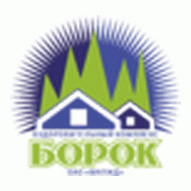Оздоровительный лагерь БОРОК ОАО Мапид