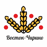 Восток-Чирино ОАО