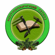 Костюковичский лесхоз Государственное лесохозяйственное учреждение