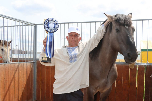 Жеребец из Кореличского района завоевал серебро на конкурсе «Лучшая племенная лошадь»