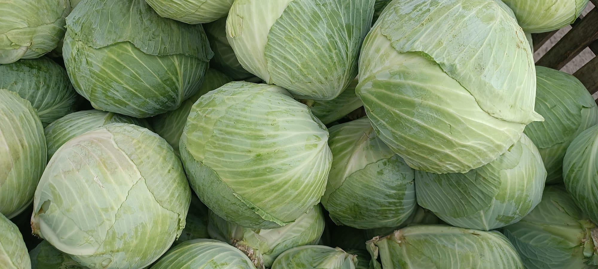 капуста, картофель
