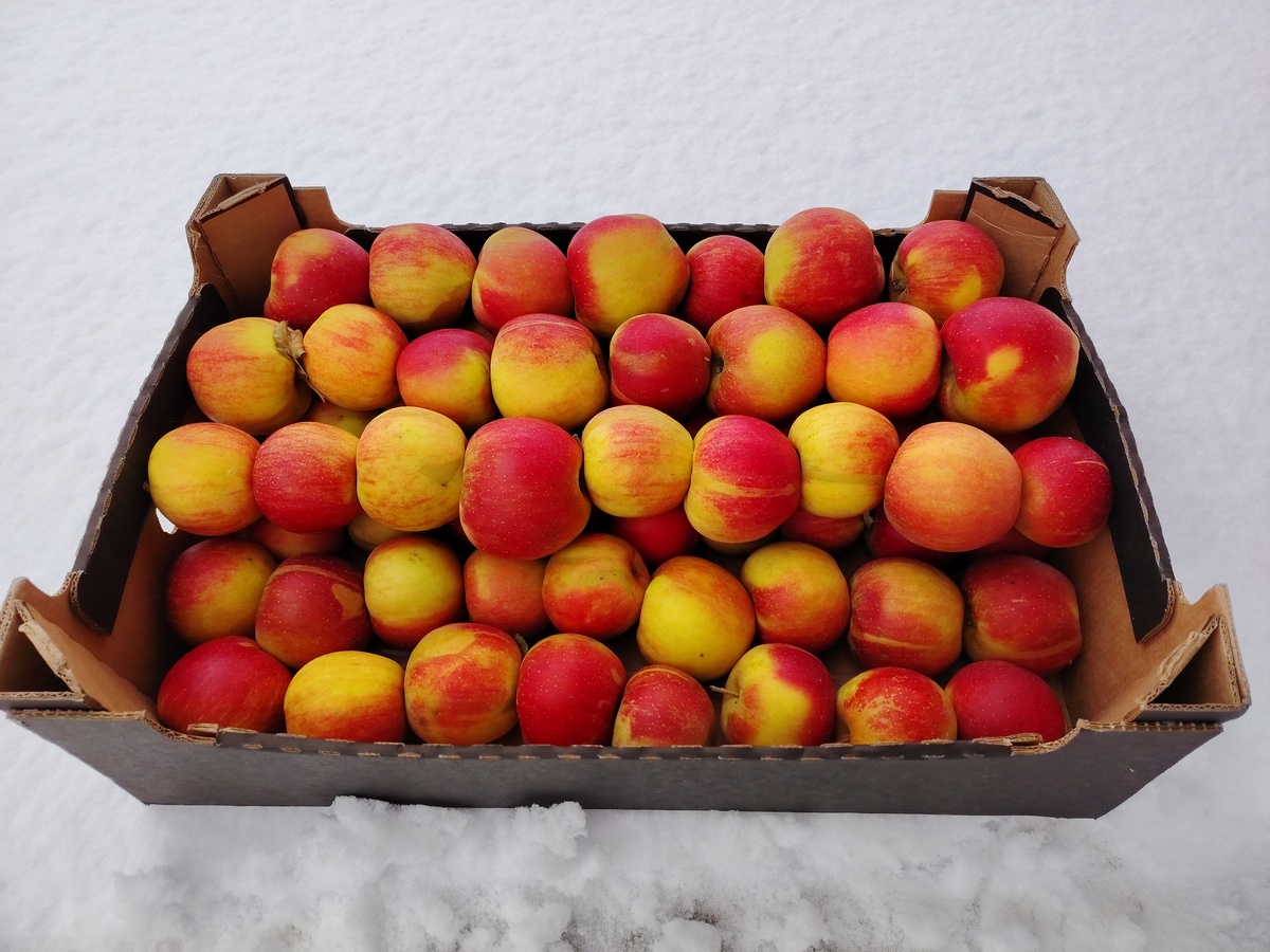 Яблоки свежие, сортов 