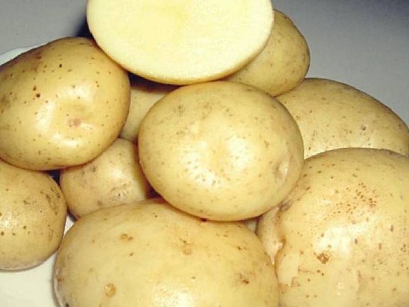 Продажа продовольственного картофеля
