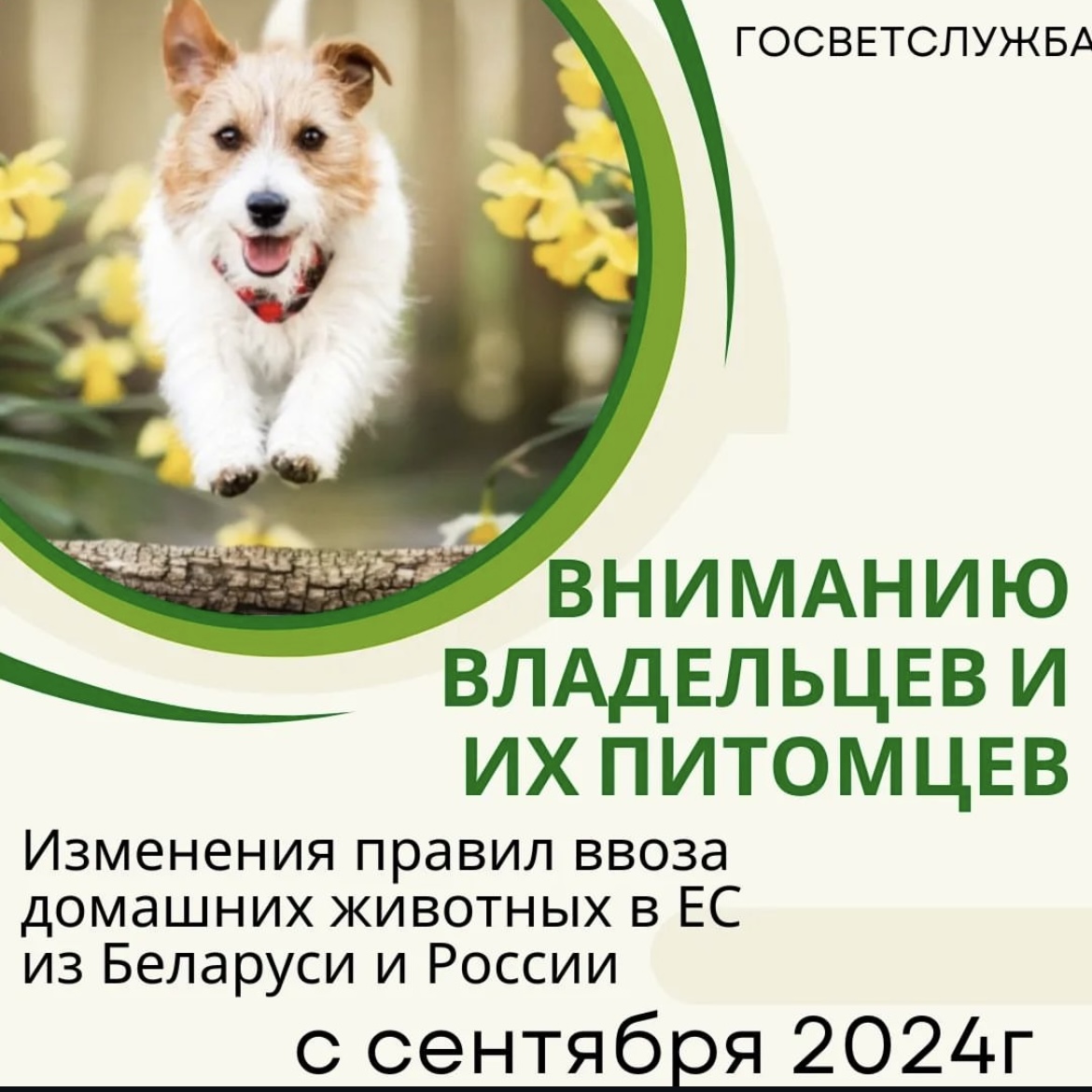 Изменение правил ввоза домашних животных в ЕС из Беларуси и России