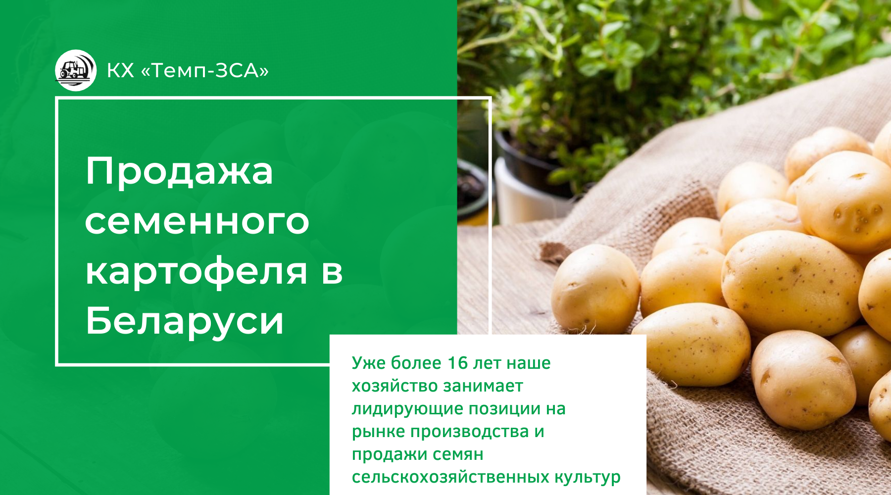 Купить Семенной Картофель Дрова Где Можно