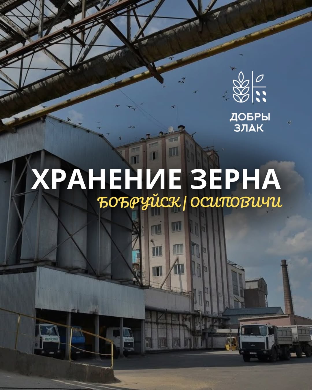 Ищете надежную площадку для хранения урожая?