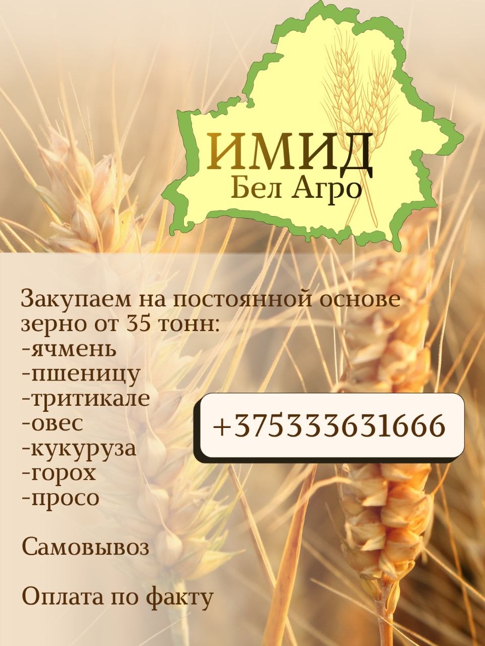 ЗАКУПАЕМ ЗЕРНО ОТ 35 ТОНН